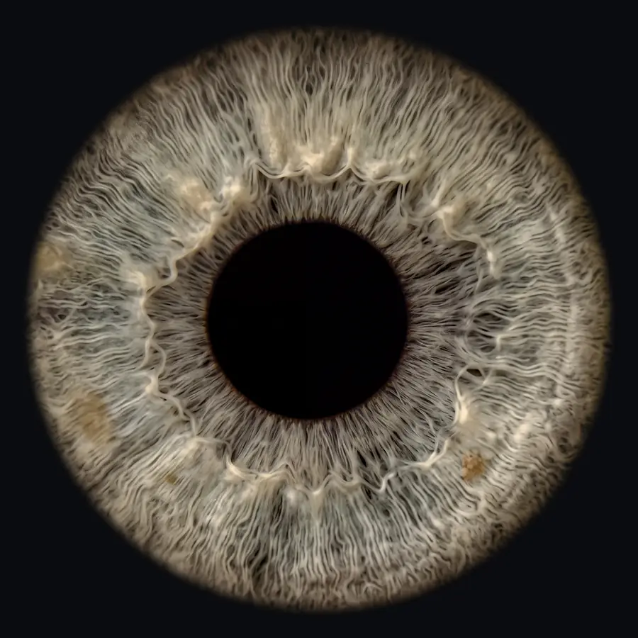 Example: a 4K iris portrait made by the app