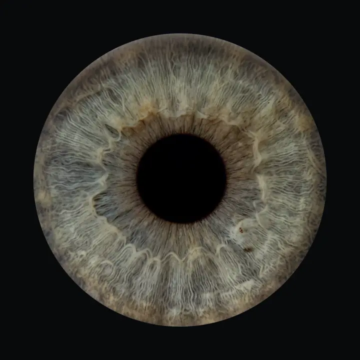 Example: a 4K iris portrait, opened from the pupil